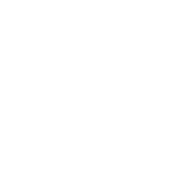 logo ORLEN