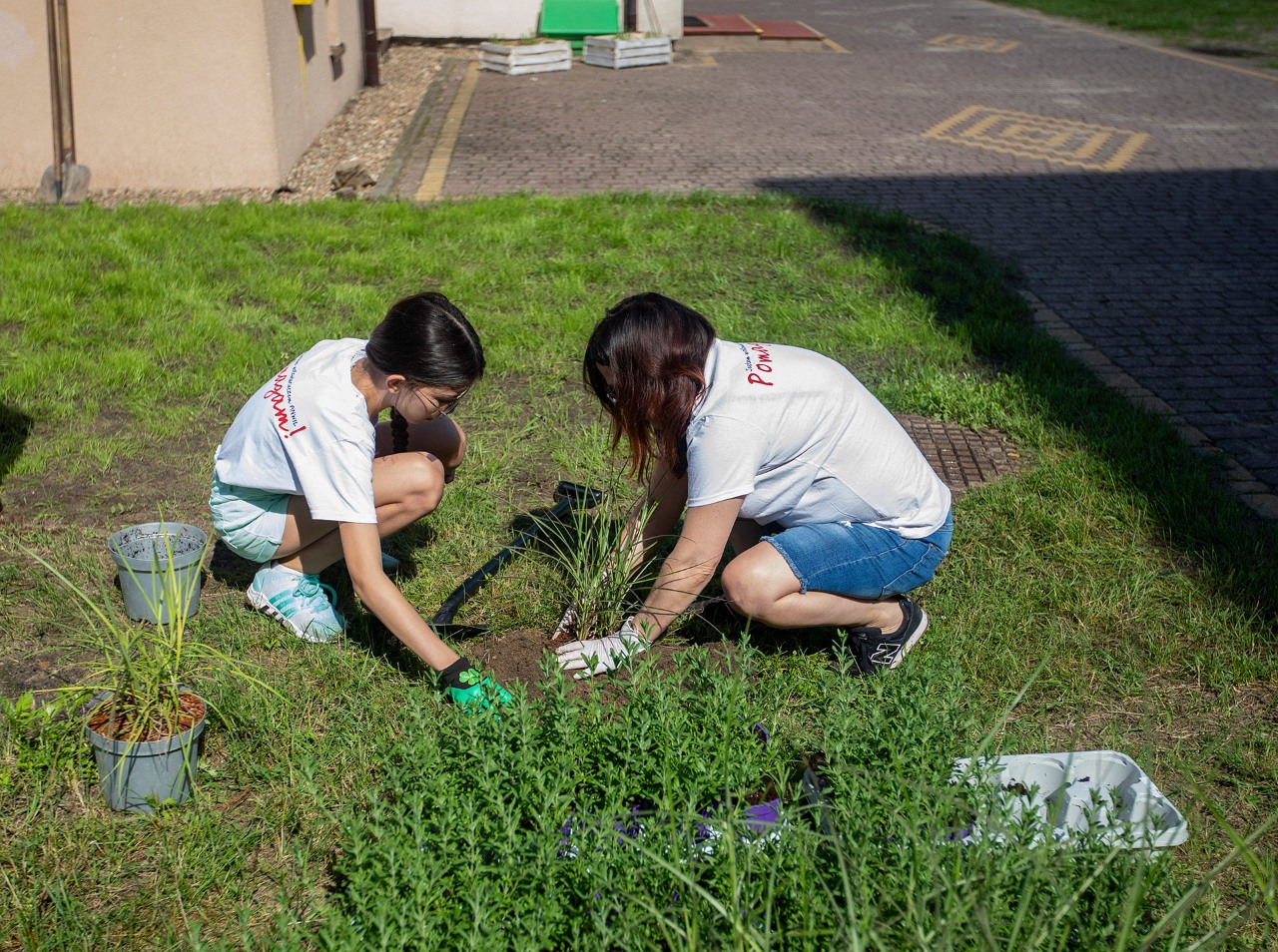 Volunteers working in garden