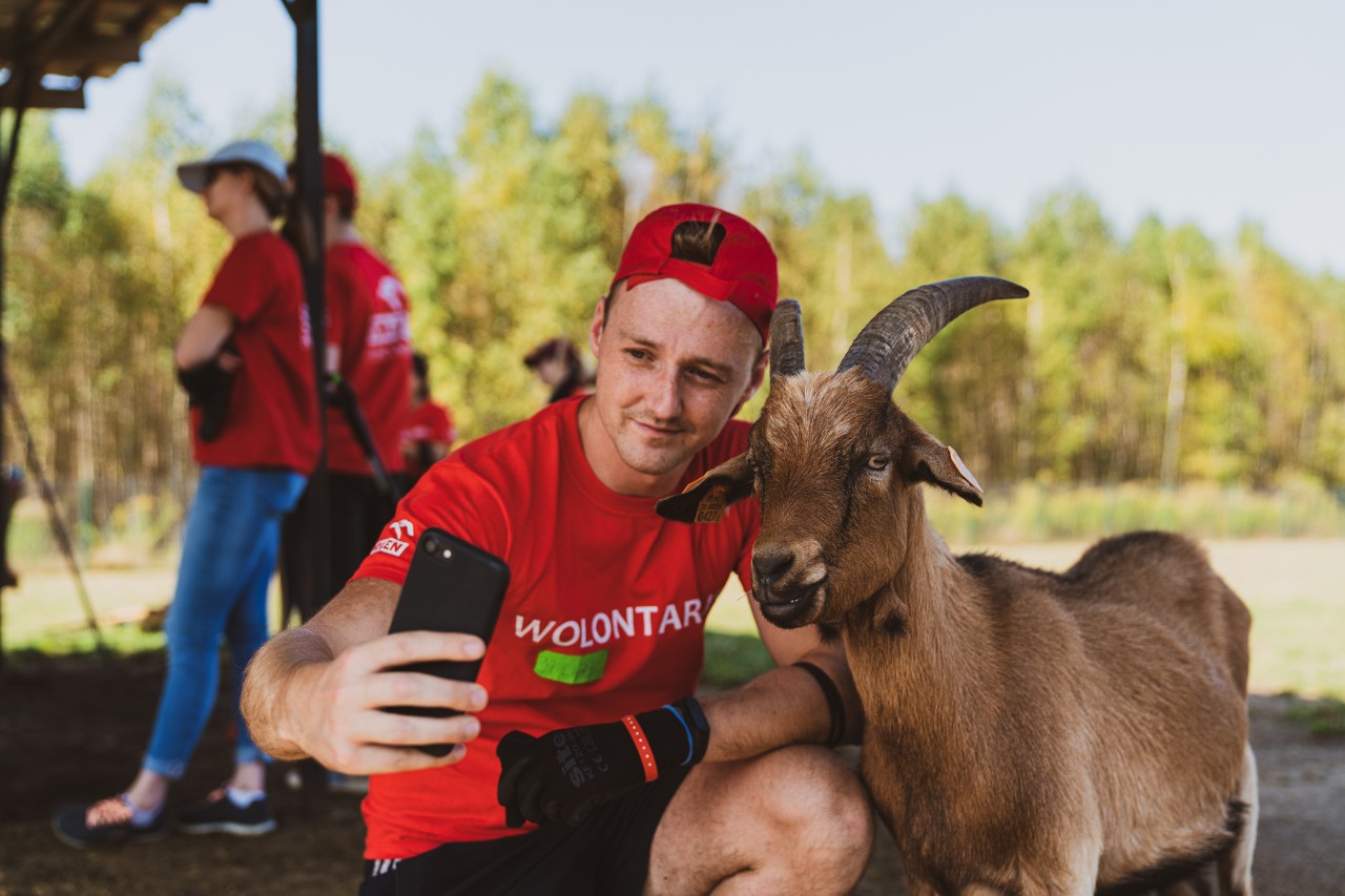 Fundacja ORLEN. Grupa wolontariuszy w schronisku dla zwierząt, opiekująca się zwierzętami. 