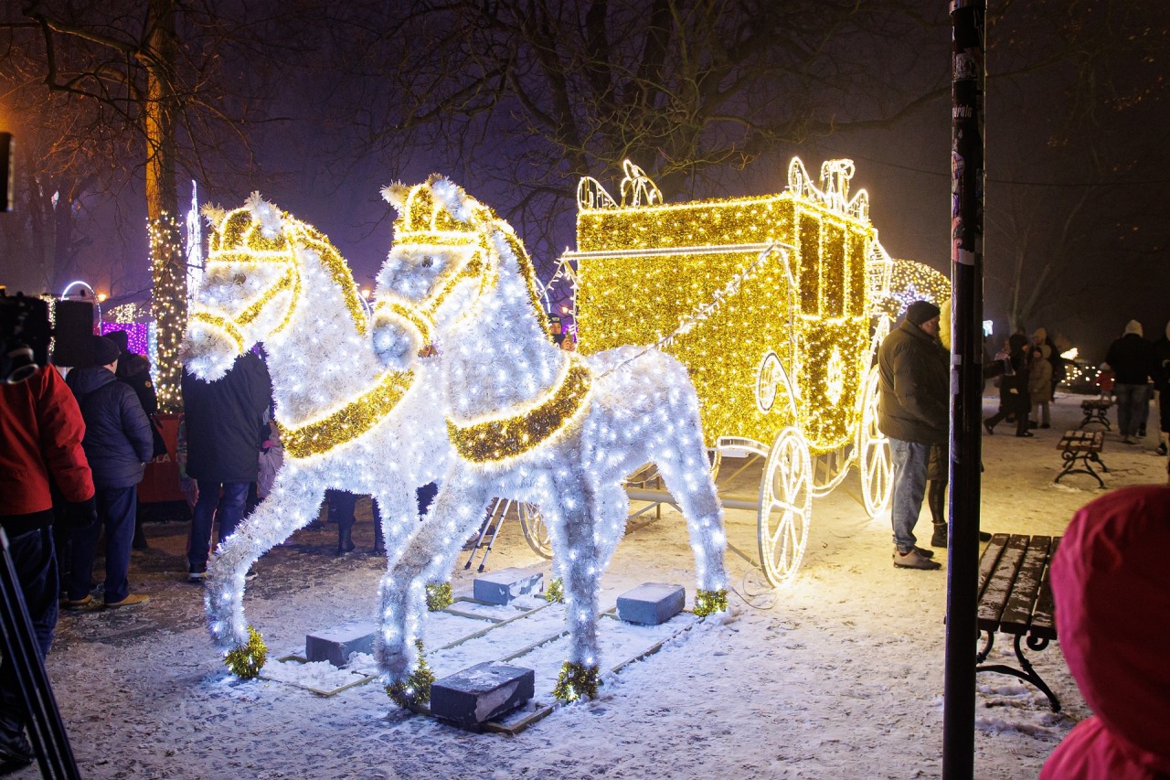 Uruchomienie iluminacji świątecznej w ramach Płockich Ogrodów Światła