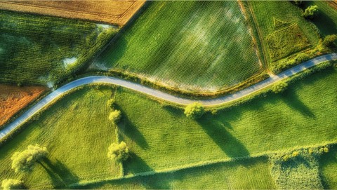 road.jpeg