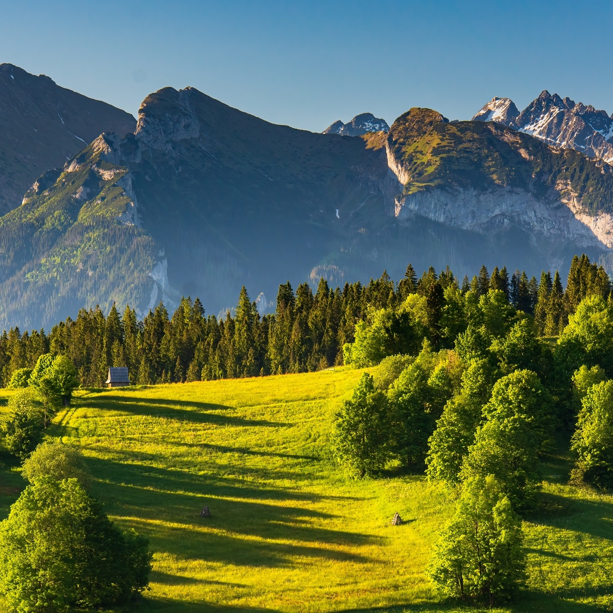 view of the High Tatras from Podhale in summer