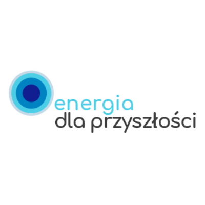Program stażowy Energia dla Przyszłości
