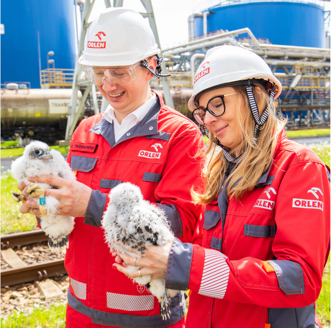 Zrównoważony rozwój i ESG – Grupa ORLEN. Pracownicy trzymający w rękach sokoły, na terenie zakładu produkcyjnego.