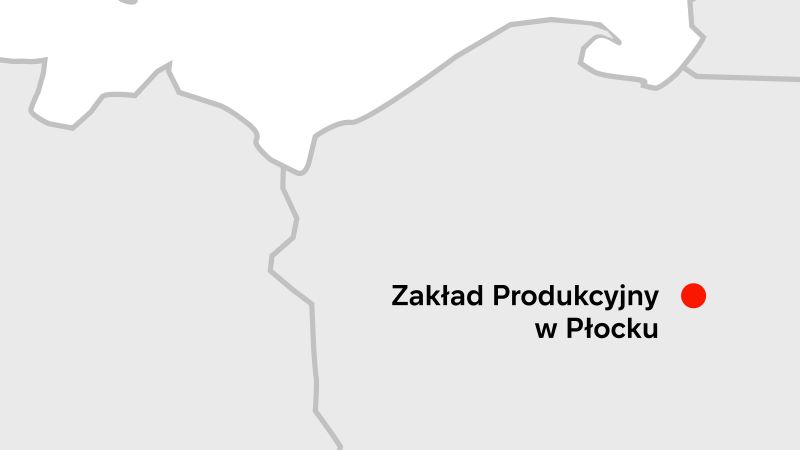 Bezpieczeństwo procesowe