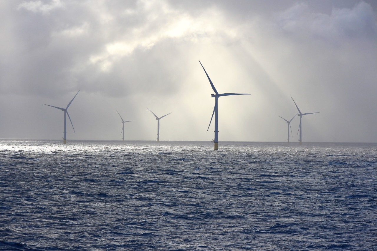 ORLEN OZE i energia odnawialna. Rząd wiatraków na morskiej farmie wiatrowej jako źródło energii odnawialnej. 
